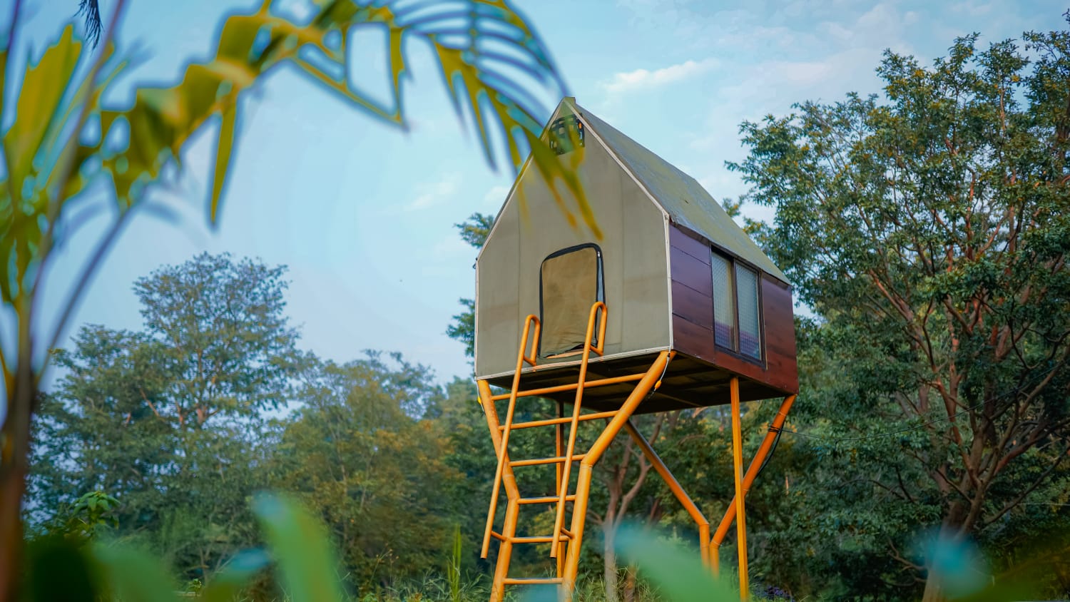 Tree House Accommodation at Dandeli Resort