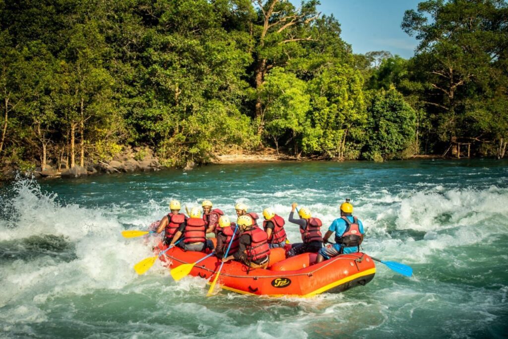 Group of rafters navigating through rapids on the Dandeli River